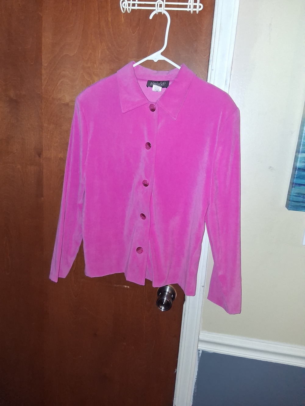 Briggs New York Hot Pink Velvet Blazer